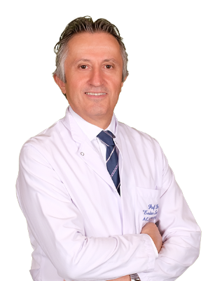 Prof.Ender Semiz